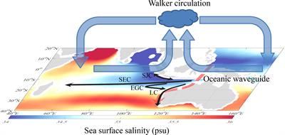 Influence of the El Niño-Southern Oscillation on upper-ocean salinity changes in the southeast Indian ocean